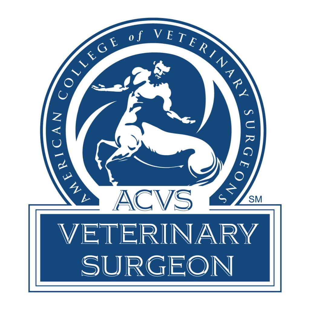 ACVS Logo