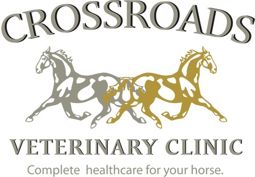 Crossroads Veterinary Clinic Logo